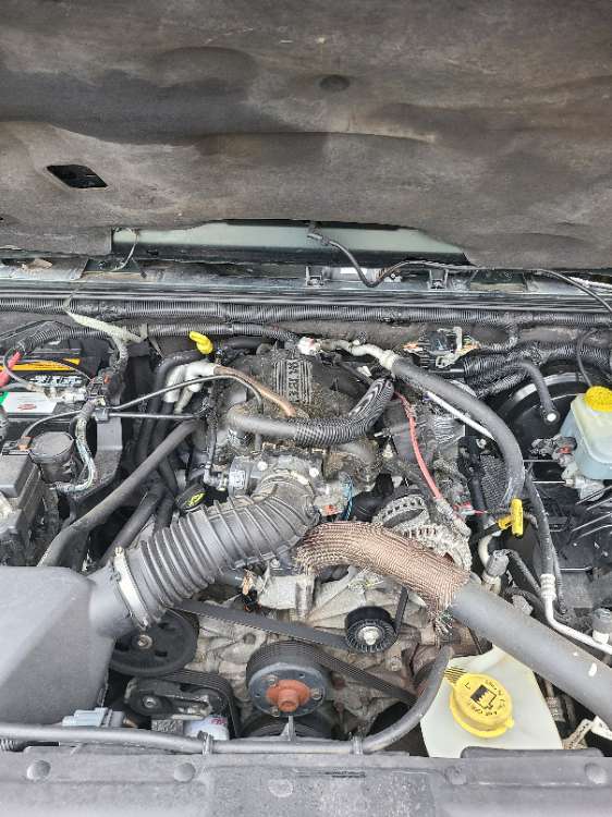 Jeep Wrangler 2010 Green